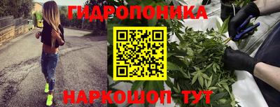 бошки Заводоуковск